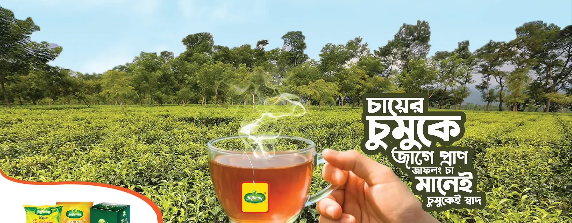 Orion Tea Company Limited